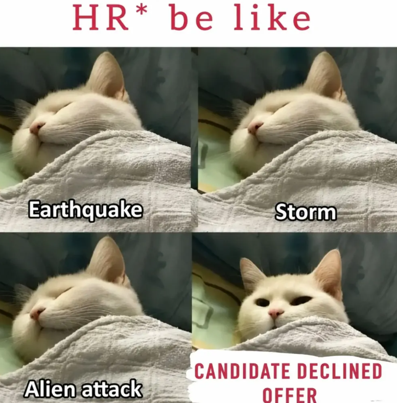 HR* be like Earthquake Storm CANDIDATE DECLINED Alien attack OFFER
