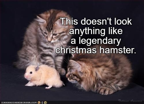 ICANHASCHEEZBURGER.COM This doesn't look anything like a legendary christmas hamster.