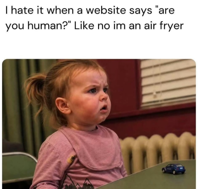 I hate it when a website says "are you human?" Like no im an air fryer