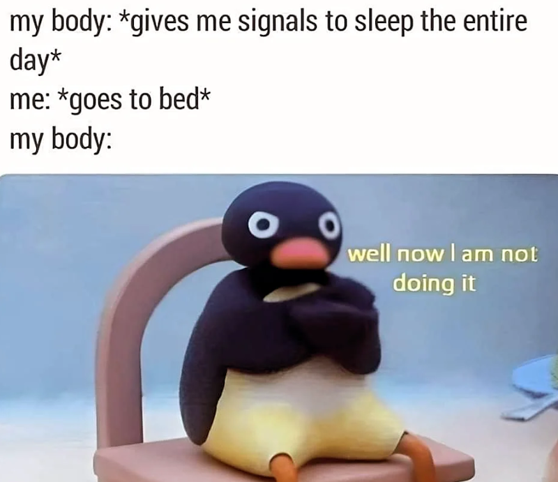 my body: *gives me signals to sleep the entire day* me: *goes to bed* my body: well now I am not doing it