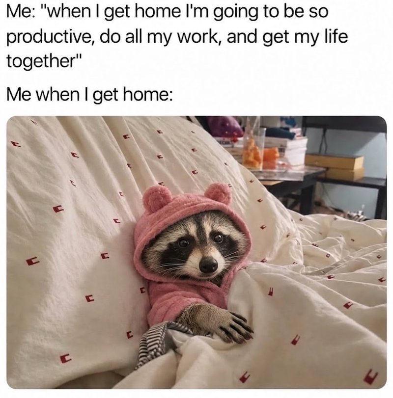Me: "when I get home I'm going to be so productive, do all my work, and get my life together" Me when I get home: C C C C C