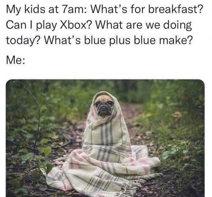 My kids at 7am: What's for breakfast? Can I play Xbox? What are we doing today? What's blue plus blue make? Me: