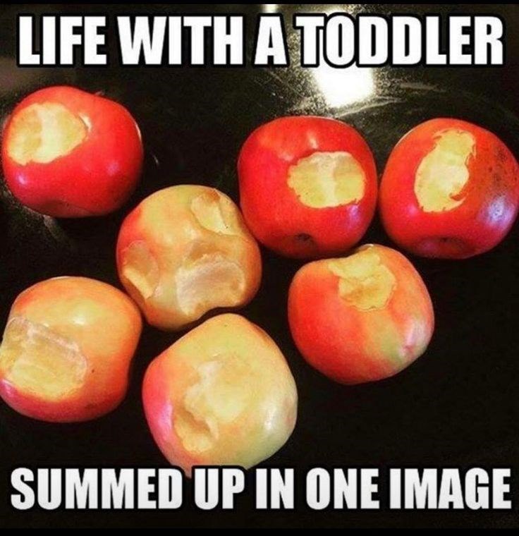 LIFE WITH A TODDLER SUMMED UP IN ONE IMAGE