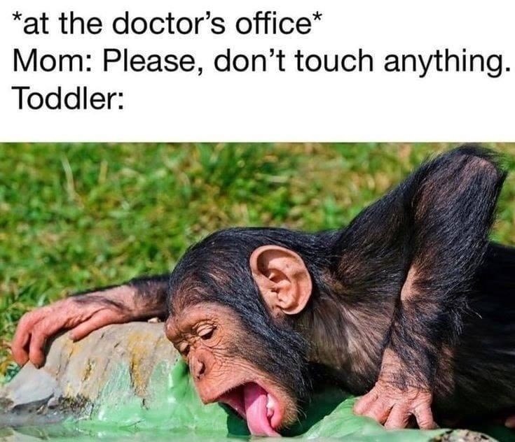 *at the doctor's office* Mom: Please, don't touch anything. Toddler: