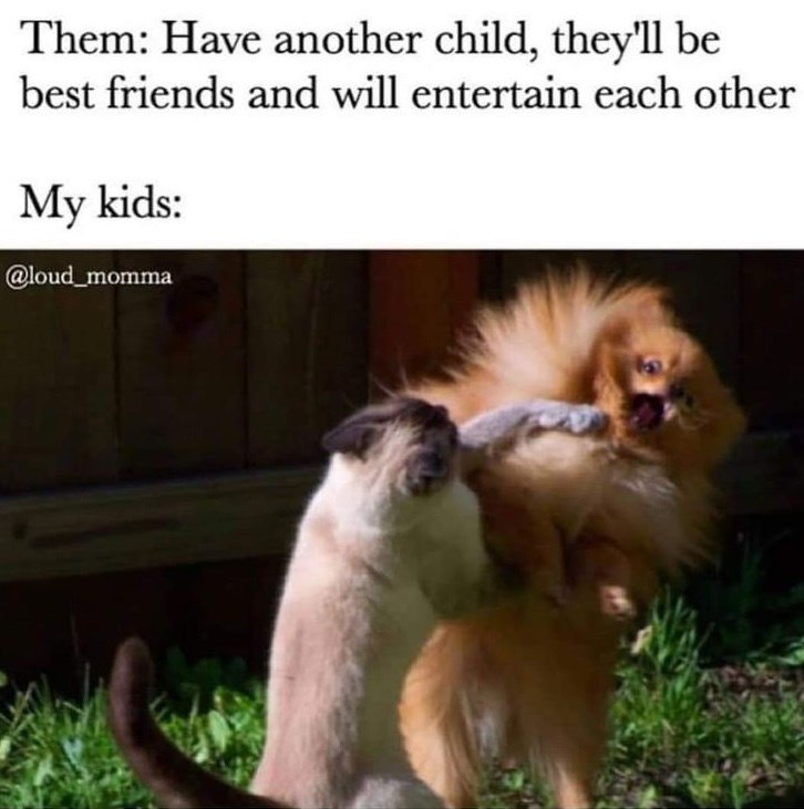 Them: Have another child, they'll be best friends and will entertain each other My kids: @loud_momma