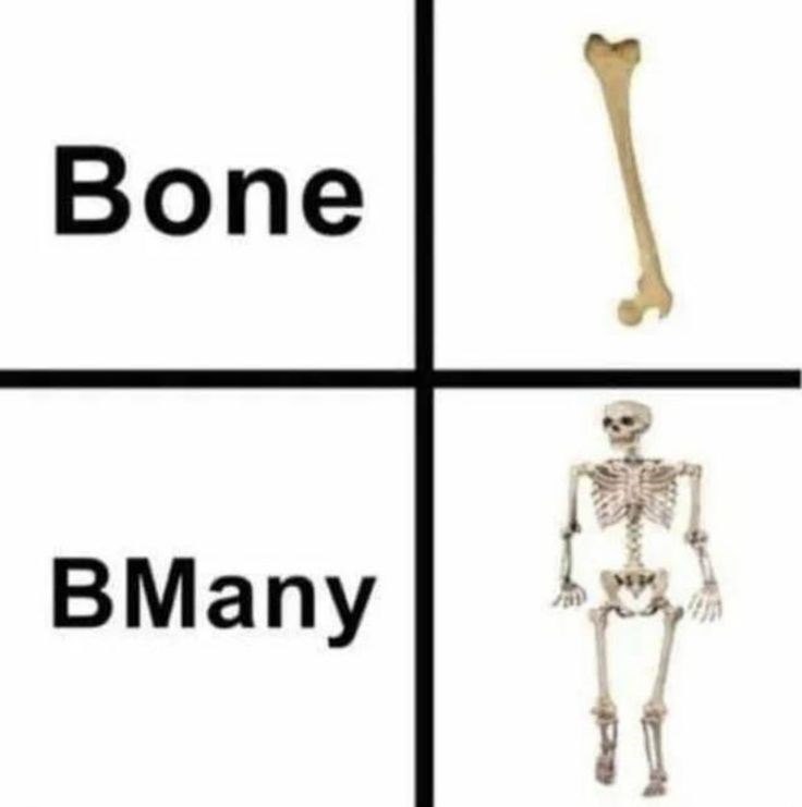 Bone BMany