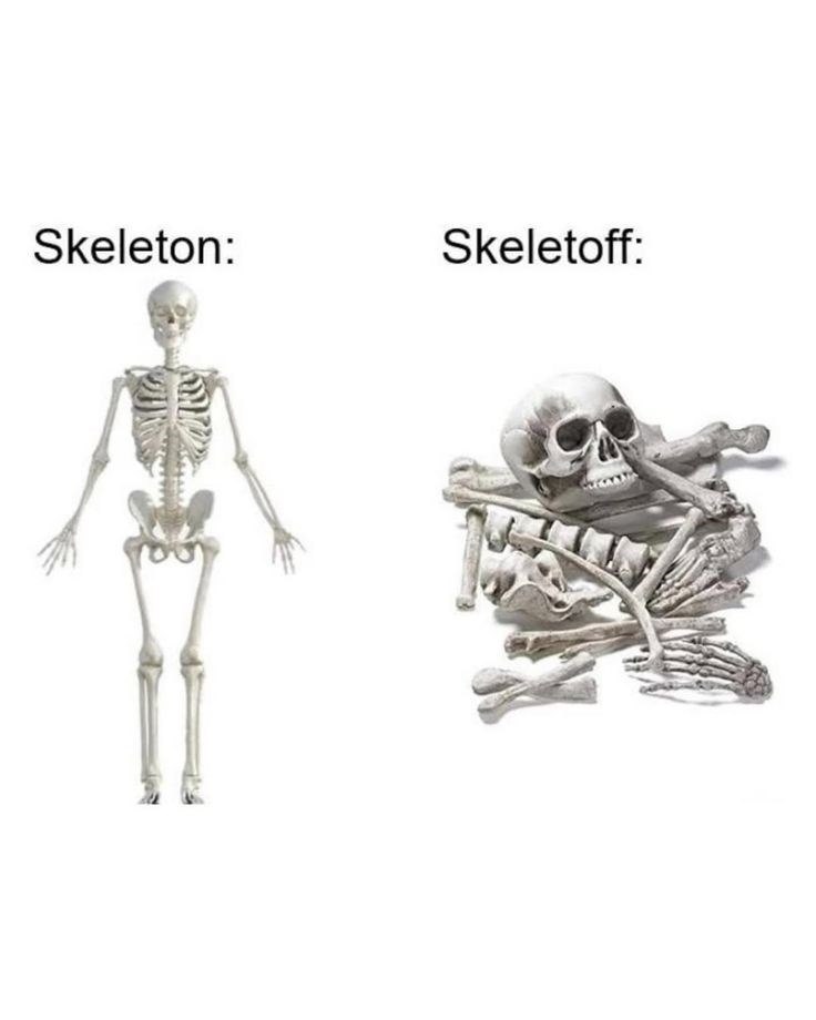 Skeleton: Skeletoff: