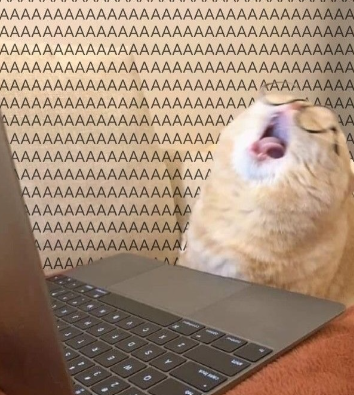 AAAAAAAAAAAAAAAAAAAAAAAAAAAAAAAAA AAAAAAAAAAAAAAAAAAAAAAAAAAAAAAAAA AAAAAAAAAAAAAAAAAAAAAAAAAAAAAAAAA AAAAAAAAAAAAAAAAAAAAAAAAAAAAAAAAA AAAAAAAAAAAAAAAAAAAAAAAAAAAAAAAAA AAAAAAAAAAAAAAAAAAAAAAAA AAAA AAAAAAAAAAAAAAAAAAAAAA AA AAAAAAAAAAAAAAAAAAA/ A AAAAAAAAAAAAAAAAAAA AAAAAAAAAAAAAAAAAA AAAAAAAAAAAAAAAAA AAAAAAAAAAAAAAAA AAAAAAAAAAAAAAA AAAAAAAAAAAAAAA AAAAA S