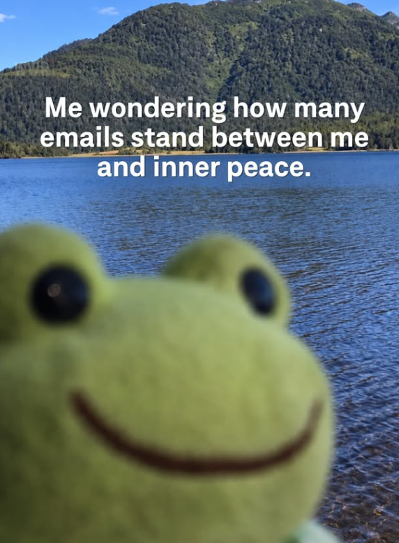 Me wondering how many emails stand between me and inner peace.