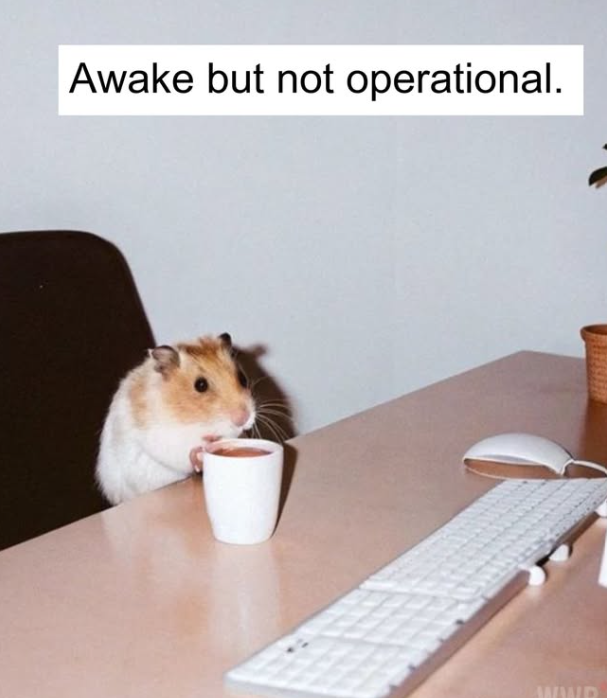 Awake but not operational.