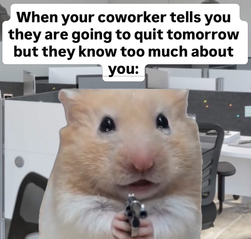 When your coworker tells you they are going to quit tomorrow but they know too much about you: