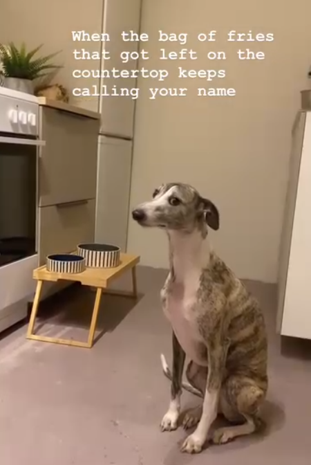 When the bag of fries that got left on the countertop keeps calling your name