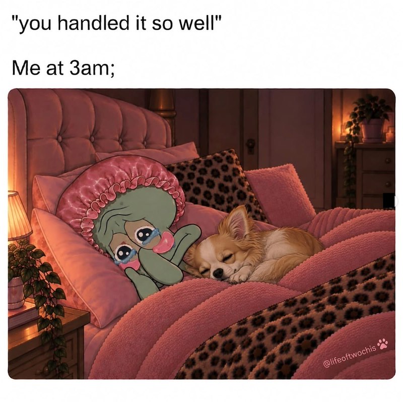 "you handled it so well" Me at 3am; @lifeoftwochis