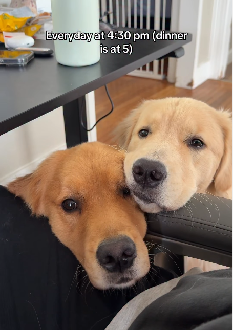 Everyday at 4:30 pm (dinner is at 5)