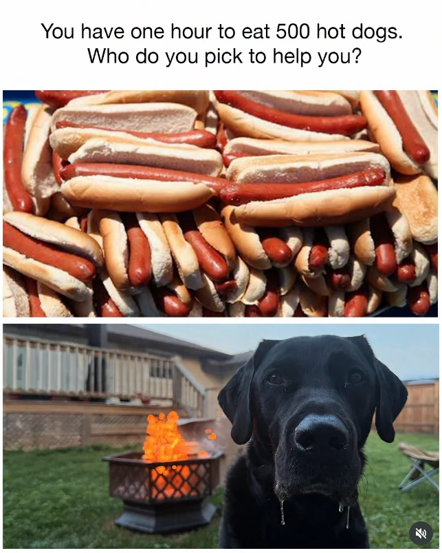 You have one hour to eat 500 hot dogs. Who do you pick to help you?