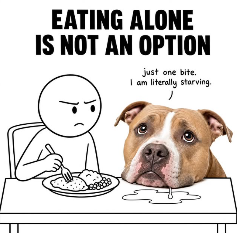 EATING ALONE IS NOT AN OPTION just one bite. I am literally starving.
