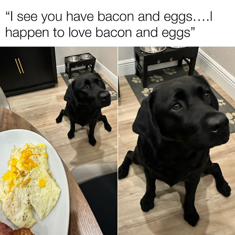 "I see you have bacon and eggs....I happen to love bacon and eggs"