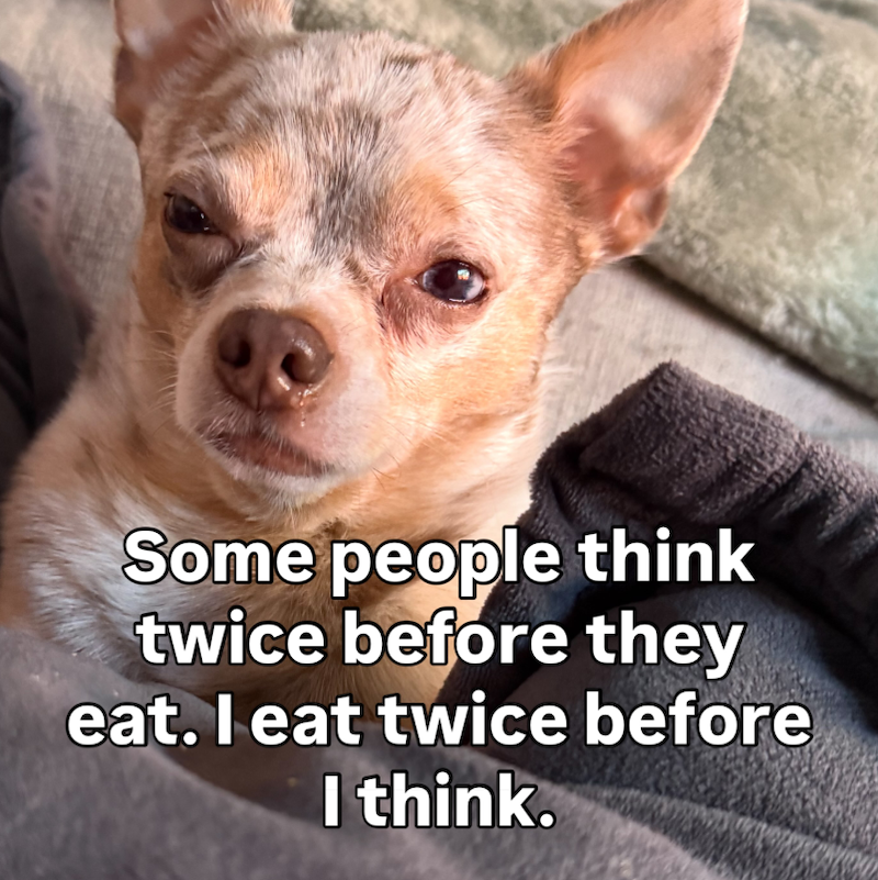 Some people think twice before they eat. I eat twice before I think.