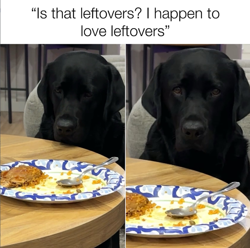 "Is that leftovers? I happen to love leftovers"