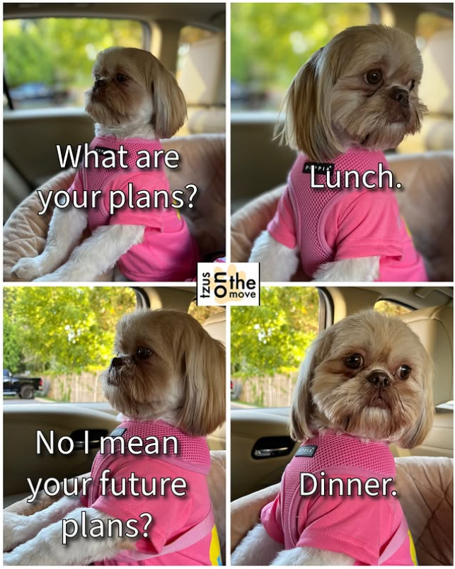What are your plans? No I mean your future plans? tzus on the move Lunch. Dinner.