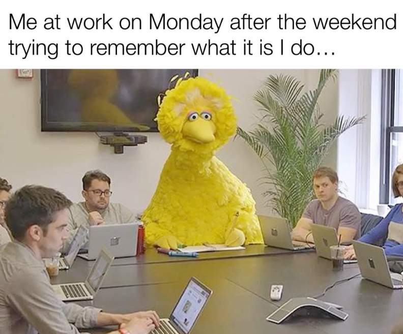 Me at work on Monday after the weekend trying to remember what it is I do...