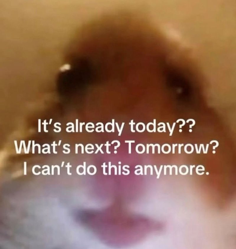 It's already today?? What's next? Tomorrow? I can't do this anymore.