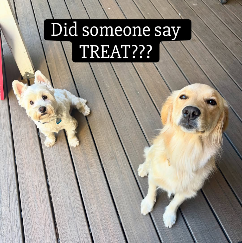 Did someone say TREAT???