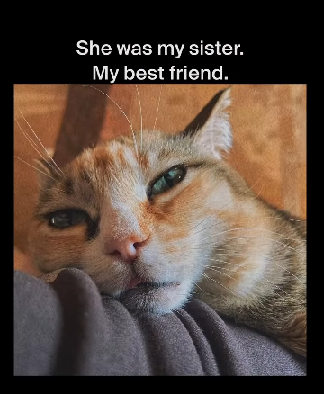 She was my sister. My best friend.
