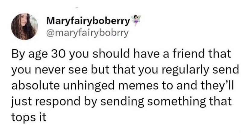 Maryfairyboberry @maryfairybobrry By age 30 you should have a friend that you never see but that you regularly send absolute unhinged memes to and they'll just respond by sending something that tops it