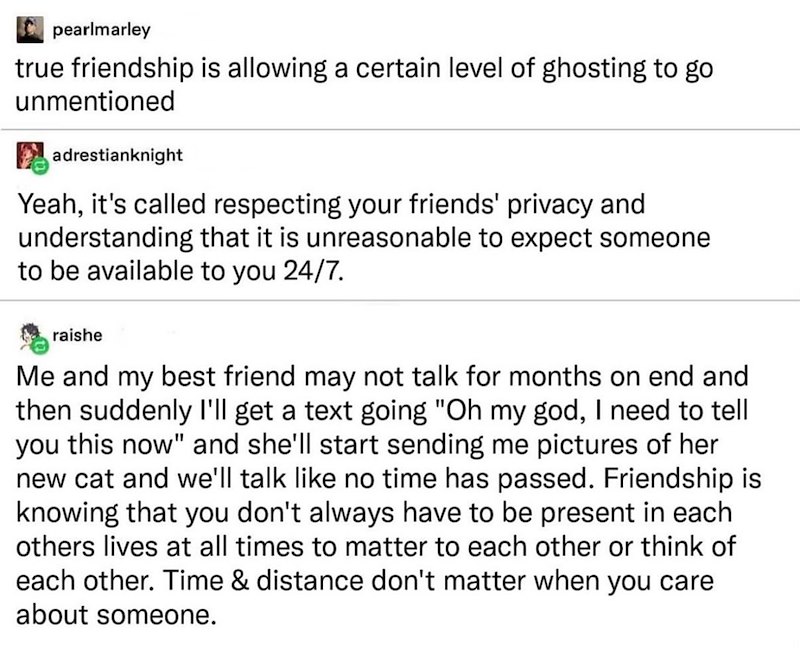 pearlmarley true friendship is allowing a certain level of ghosting to go unmentioned adrestianknight Yeah, it's called respecting your friends' privacy and understanding that it is unreasonable to expect someone to be available to you 24/7. raishe Me and my best friend may not talk for months on end and then suddenly I'll get a text going "Oh my god, I need to tell you this now" and she'll start sending me pictures of her new cat and we'll talk like no time has passed. Friendship is knowing tha