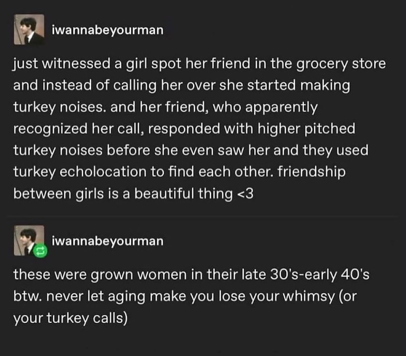 iwannabeyourman just witnessed a girl spot her friend in the grocery store and instead of calling her over she started making turkey noises. and her friend, who apparently recognized her call, responded with higher pitched turkey noises before she even saw her and they used turkey echolocation to find each other. friendship between girls is a beautiful thing <3 iwannabeyourman these were grown women in their late 30's-early 40's btw. never let aging make you lose your whimsy (or your turkey call