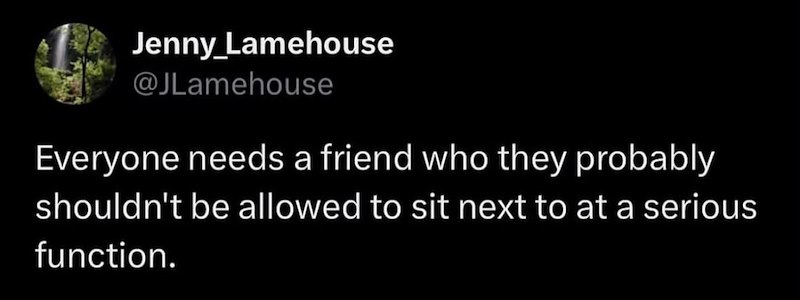 Jenny_Lamehouse @JLamehouse Everyone needs a friend who they probably shouldn't be allowed to sit next to at a serious function.