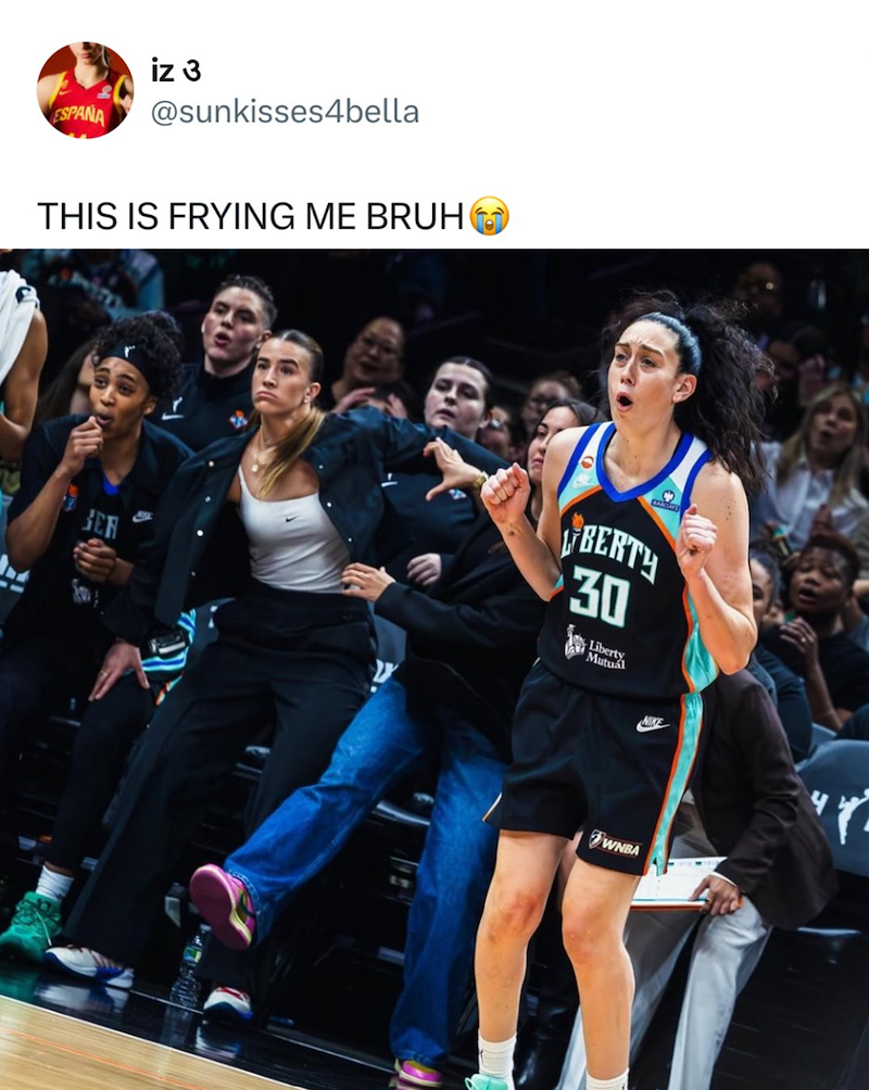 iz 3 ESPANA @sunkisses4bella THIS IS FRYING ME BRUH BERTY 30 SER Mrty NIKE WNBA 4