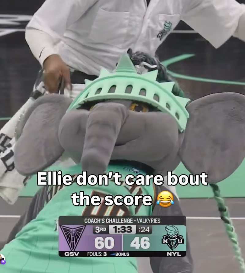 Ellie don't care bout the score COACH'S CHALLENGE - VALKYRIES 3RD 1:33:24 60 46 GSV FOULS: 3 BONUS NYL