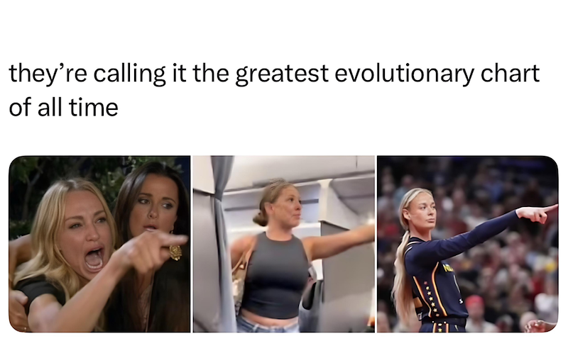 they're calling it the greatest evolutionary chart of all time