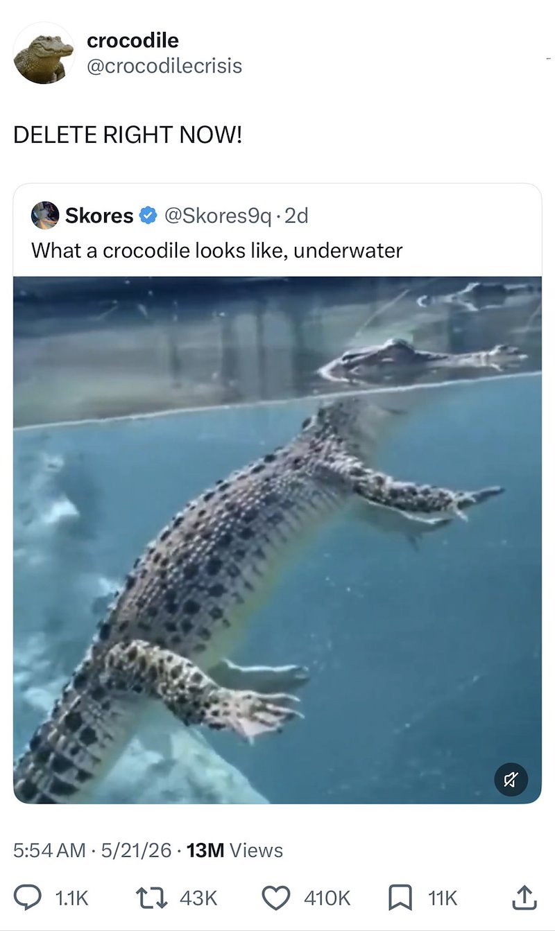 crocodile @crocodilecrisis DELETE RIGHT NOW! Skores @Skores9q. 2d What a crocodile looks like, underwater 5:54 AM 5/21/26 13M Views 1.1K 143K 410K ☐ 11K ☑