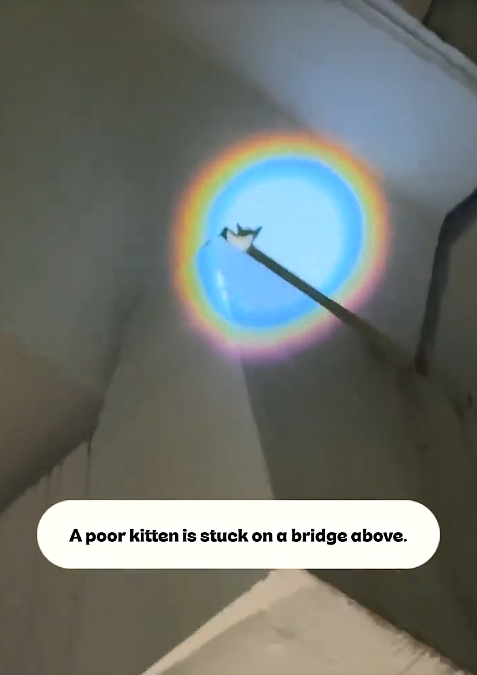 A poor kitten is stuck on a bridge above.