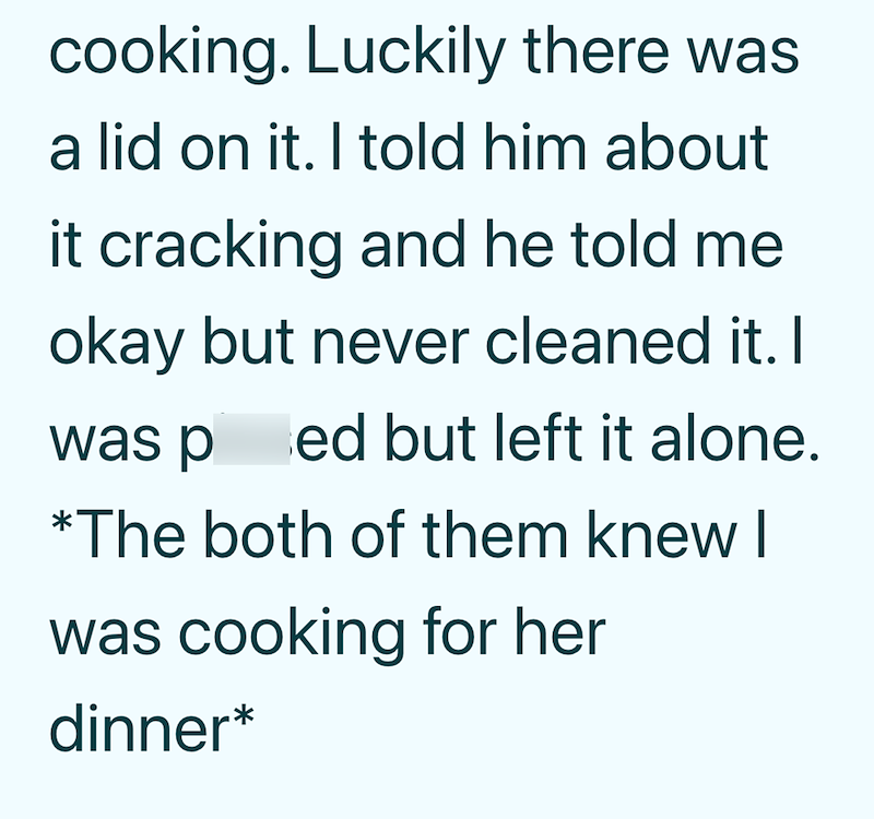 cooking. Luckily there was a lid on it. I told him about it cracking and he told me okay but never cleaned it. I was ped but left it alone. *The both of them knew l was cooking for her dinner*