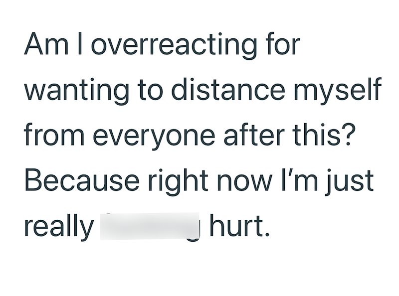 Am I overreacting for wanting to distance myself from everyone after this? Because right now I'm just really _hurt.