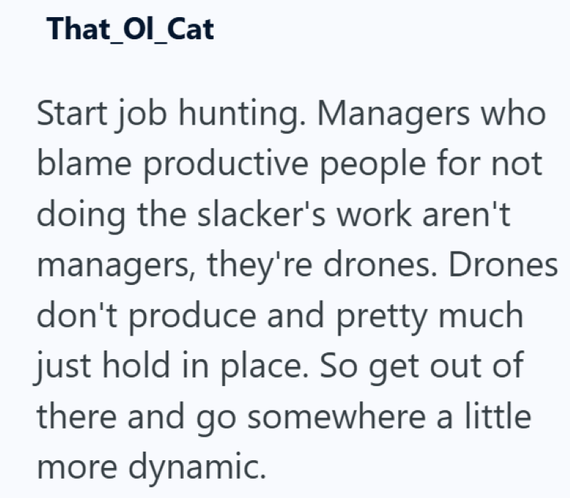 That_Ol_Cat Start job hunting. Managers who blame productive people for not doing the slacker's work aren't managers, they're drones. Drones don't produce and pretty much just hold in place. So get out of there and go somewhere a little more dynamic.