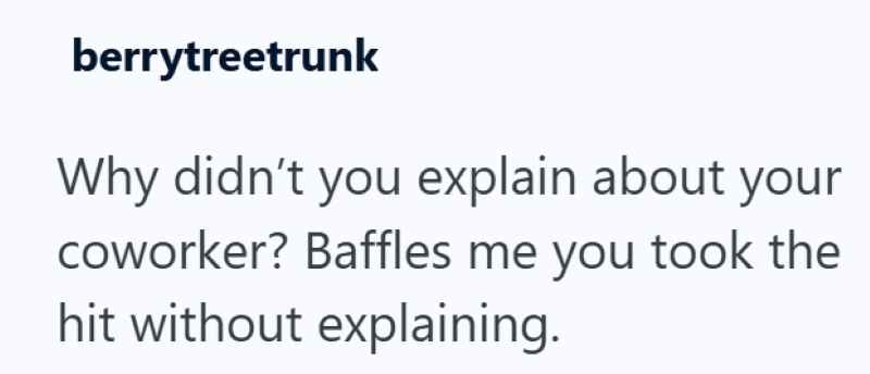 berrytreetrunk Why didn't you explain about your coworker? Baffles me you took the hit without explaining.