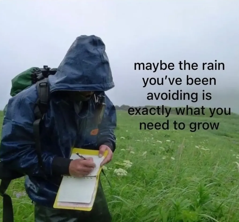 maybe the rain you've been avoiding is exactly what you need to grow