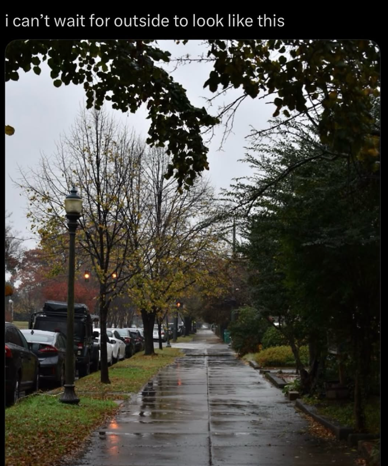 i can't wait for outside to look like this