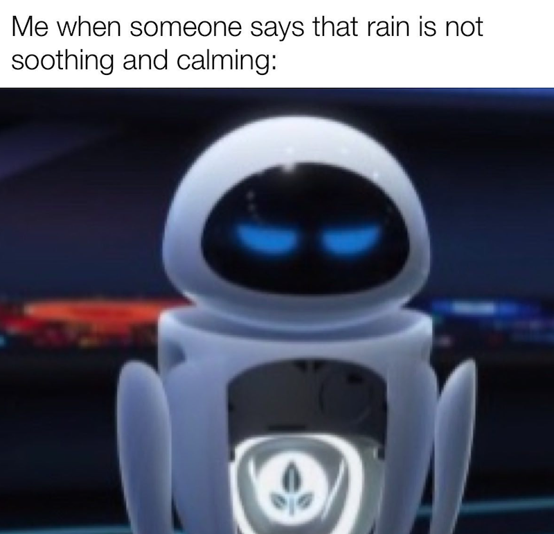 Me when someone says that rain is not soothing and calming: