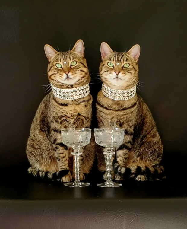 Cheezburger Image 10666659840