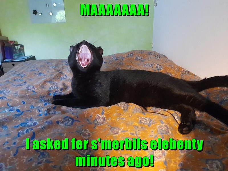 MAAAAAAA! Jasked fer s'merbils elebenty minutes ago!