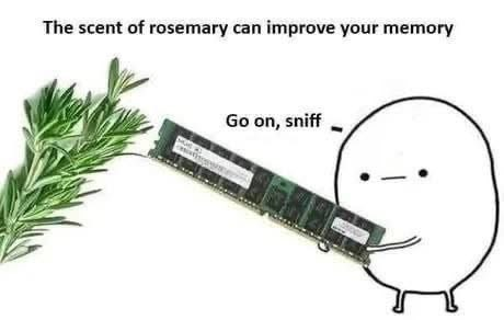 The scent of rosemary can improve your memory Go on, sniff