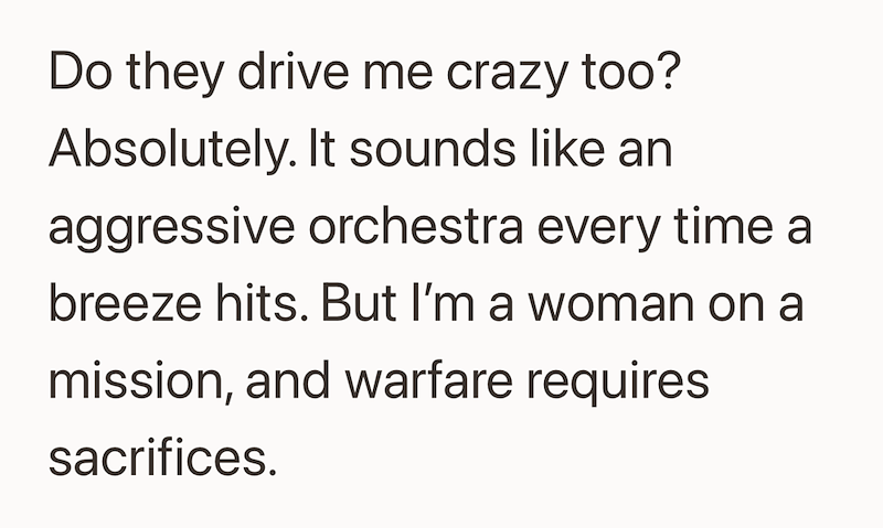 Do they drive me crazy too? Absolutely. It sounds like an aggressive orchestra every time a breeze hits. But I'm a woman on a mission, and warfare requires sacrifices.