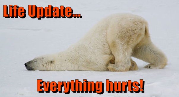 Life Update... Everything hurts!