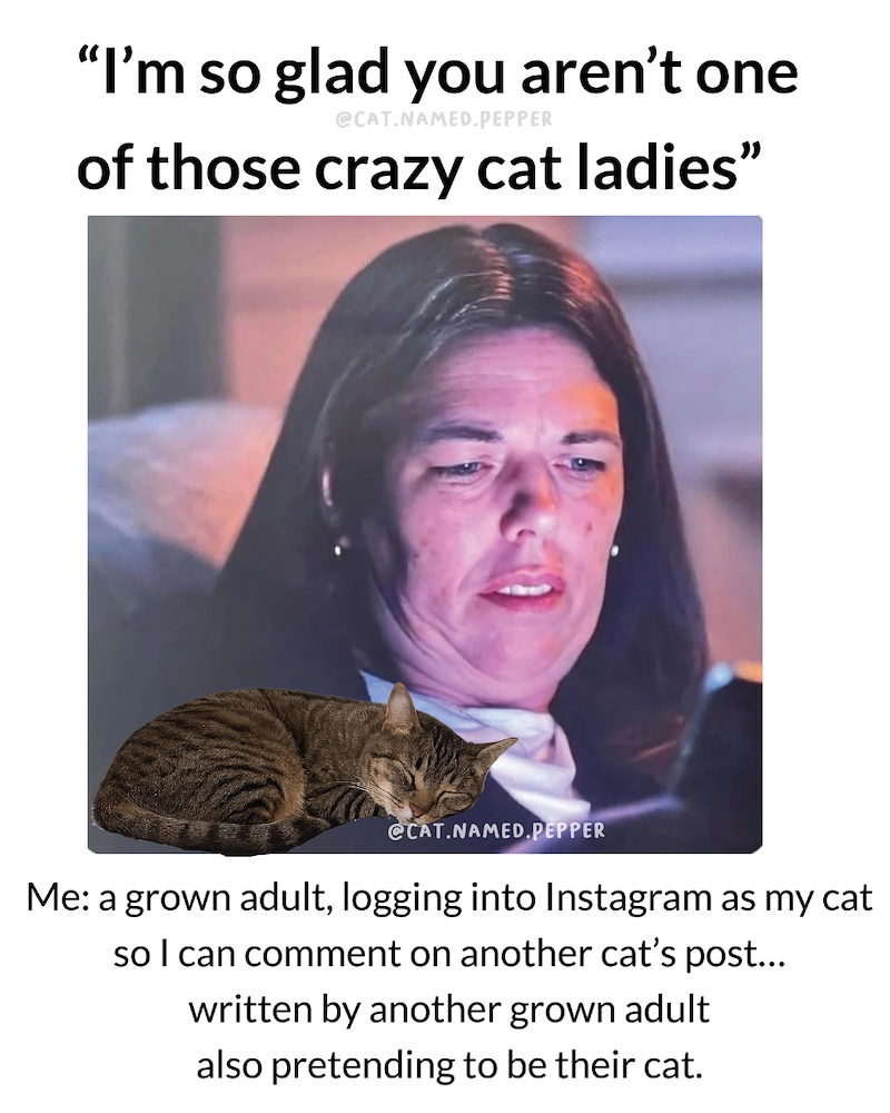"I'm so glad you aren't one @CAT.NAMED.PEPPER of those crazy cat ladies" @CAT.NAMED.PEPPER Me: a grown adult, logging into Instagram as my cat so I can comment on another cat's post... written by another grown adult also pretending to be their cat.